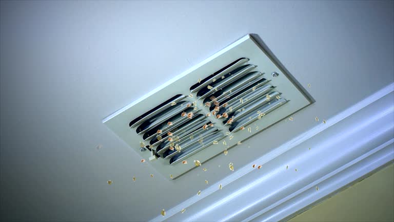 Best HVAC System Cleaning  in Clinton, PA